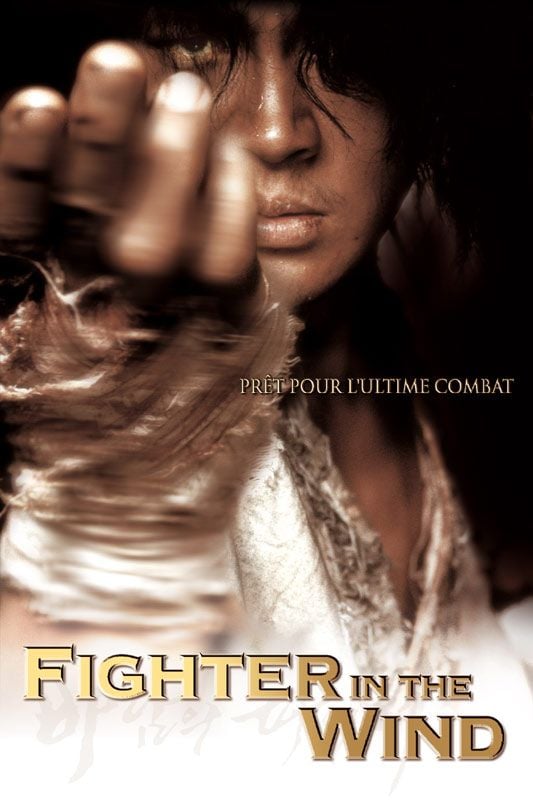 Fighter in the wind Fighter in the wind