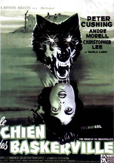 LE CHIEN DES BASKERVILLE le chien des baskerville:
