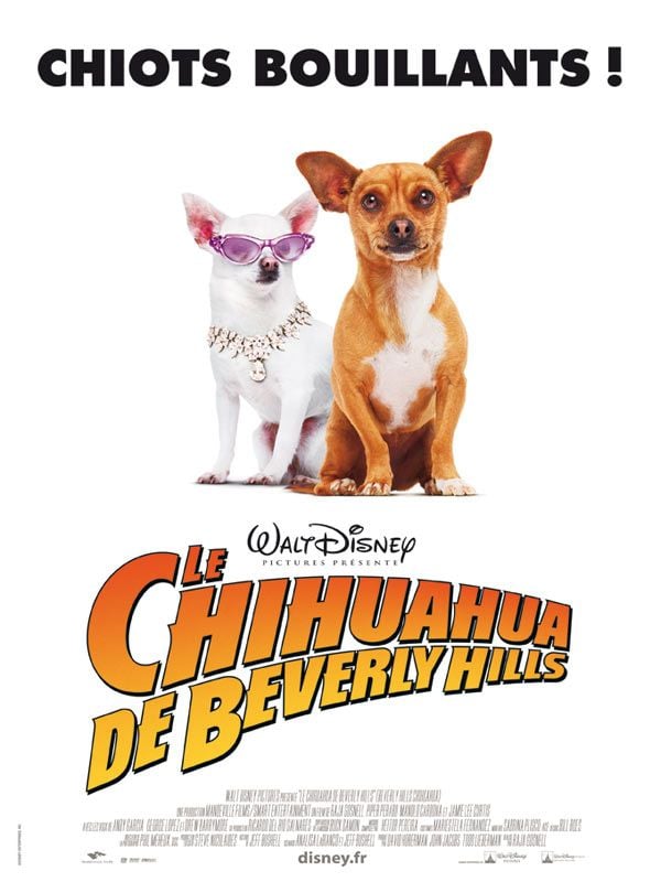 Le Chihuahua de Beverly Hills Le Chihuahua de Beverly Hills