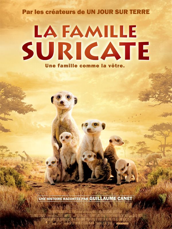 La Famille Suricate La Famille Suricate