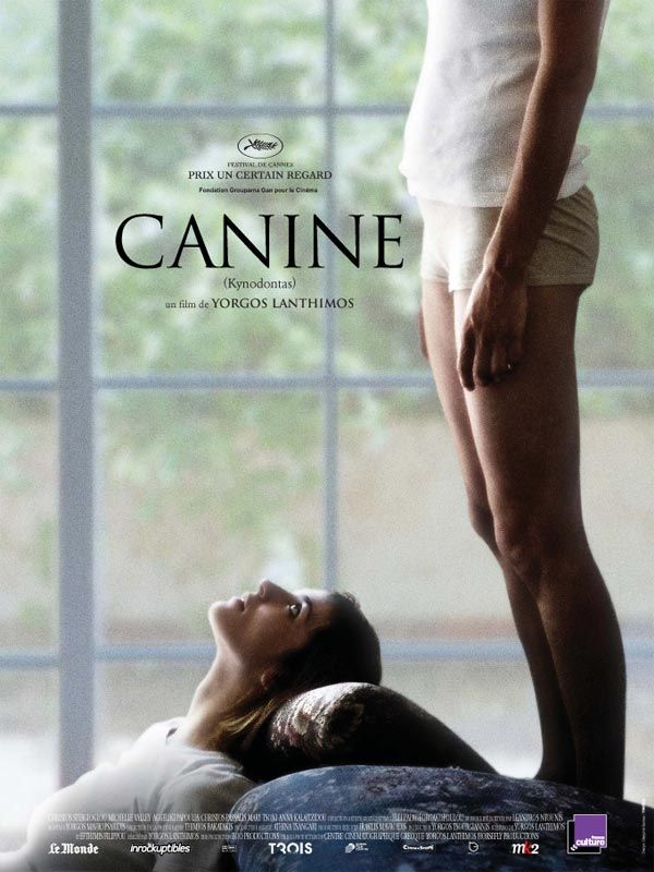 Canine Canine