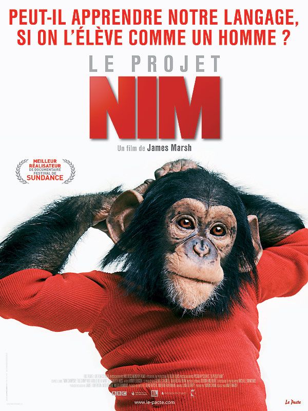 Le Projet Nim Le Projet Nim