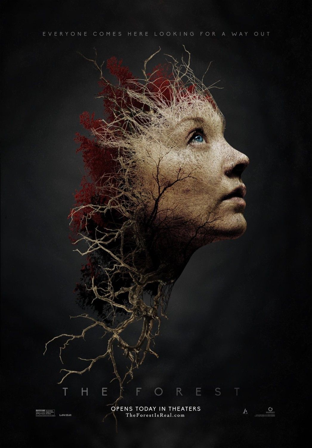 The Forest FRENCH BDRiP The Forest FRENCH BDRiP