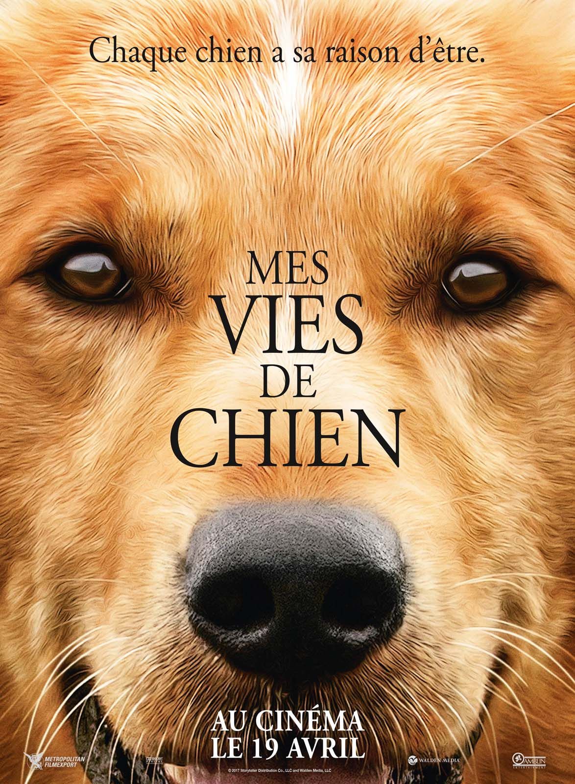 Affiche du film : Mes vies de chien