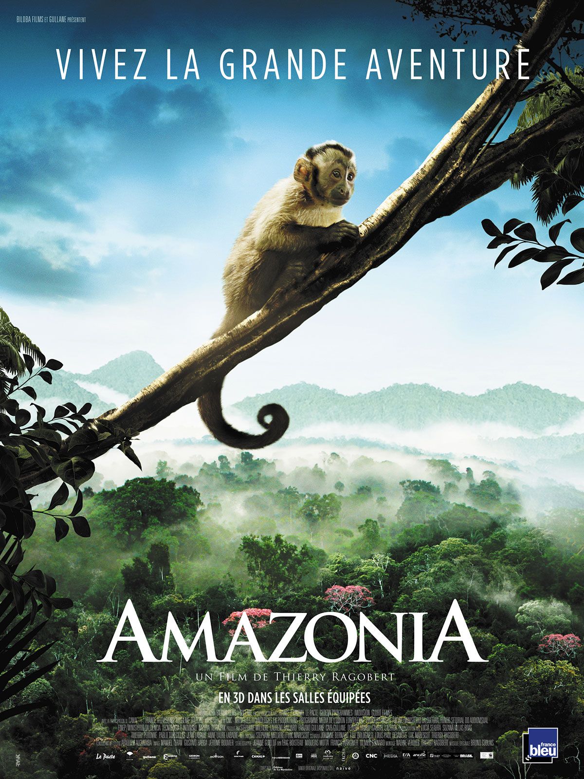Amazonia Amazonia