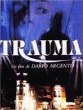 Photo : Trauma