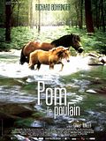 Photo : Pom le poulain