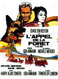Photo : L'Appel de la forêt