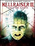 Hellraiser 3 Icon