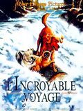 Photo : L'Incroyable Voyage
