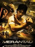 Regarder <{$films.title}> (<{$films.artist}>) en Streaming