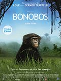 Photo : Bonobos