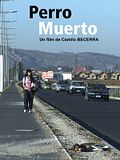 Photo : Perro Muerto