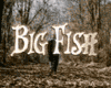 Big Fish Bande-annonce VF