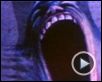 Pink Floyd - The Wall Bande-annonce VO