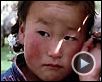 Le Chien jaune de Mongolie Bande-annonce VO
