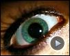The Descent Teaser VF