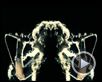 Across the Universe Bande-annonce VO