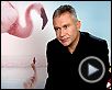 Jean-François Camilleri Interview  : Les Ailes pourpres : le mystère des flamants