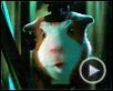 Mission-G Extrait