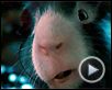 Mission-G Extrait (2) VF