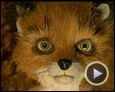 Fantastic Mr. Fox Bande-annonce (2) VO