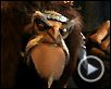 Chasseurs de dragons Extrait vidéo VF