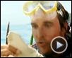 L'Amour de l'or Bande-annonce VF