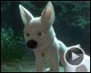 Volt, star malgré lui Extrait vidéo (2) VF