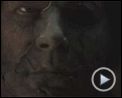 Halloween 2 Bande-annonce VO
