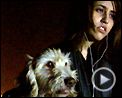 Les Chats persans Bande-annonce VO