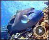 Voyage sous les mers 3D Bande-annonce VF