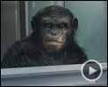 La Planète des singes : les origines Bande-annonce (2) VO