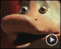 Le Vilain petit canard Bande-annonce VF
