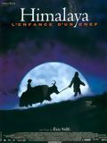 Photo : Himalaya, l'enfance d'un chef