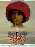 Photo : Les Baliseurs du désert