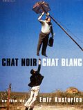 Photo : Chat noir, chat blanc