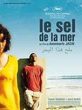 Photo : Le Sel De La Mer