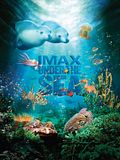 Photo : Under the Sea 3D