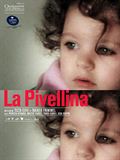 Photo : La Pivellina
