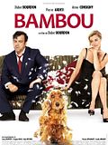 Photo : Bambou