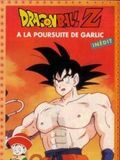 Photo : Dragon Ball Z : À la poursuite de Garlic