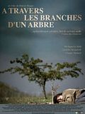 Photo : A travers les branches d'un arbre
