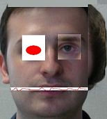 martoni