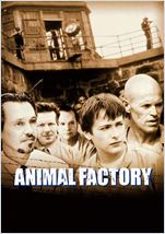   HD Wallpapers  Animal Factory