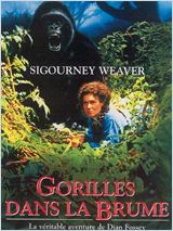   HD movie streaming  Gorilles dans la brume