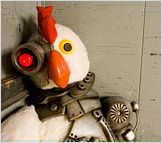 Robot Chicken