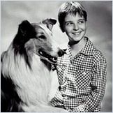Lassie