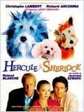 Hercule et Sherlock Hercule et Sherlock