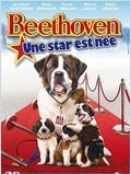   HD movie streaming  Beethoven 6 - Une star est née !